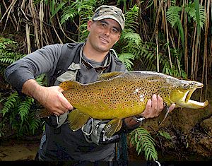 Look at the size of this fish!! Join Miles on a guided trip and you too could catch a Big Trophy like this Brown Trout